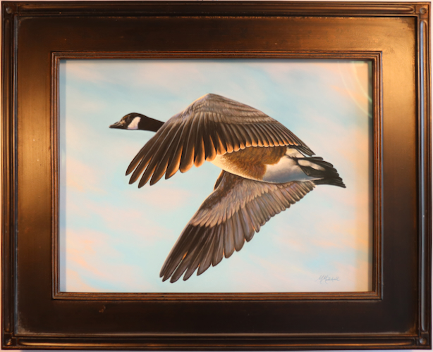 Click to view detail for Morning Flight 12x16 $1100